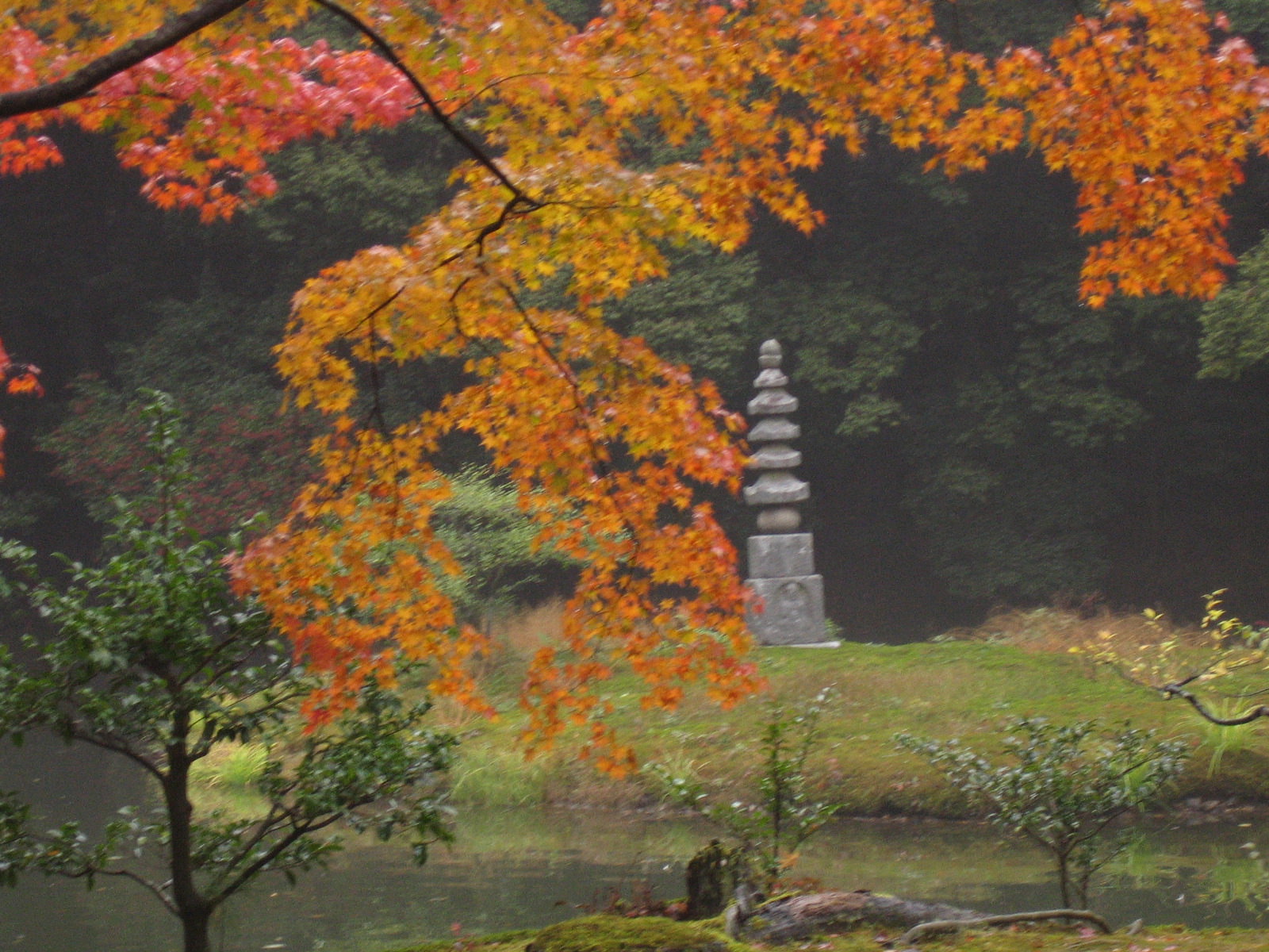 Garten in Kyoto